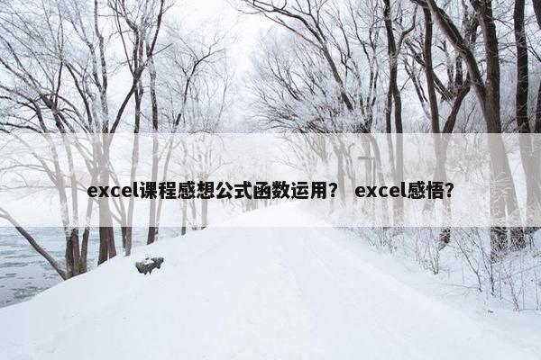 excel课程感想公式函数运用？ excel感悟？