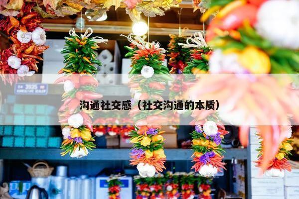 沟通社交感（社交沟通的本质）