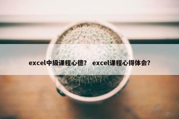 excel中级课程心德？ excel课程心得体会？