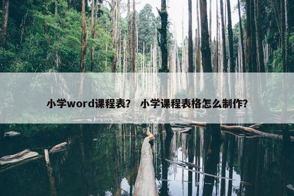 小学word课程表？ 小学课程表格怎么制作？