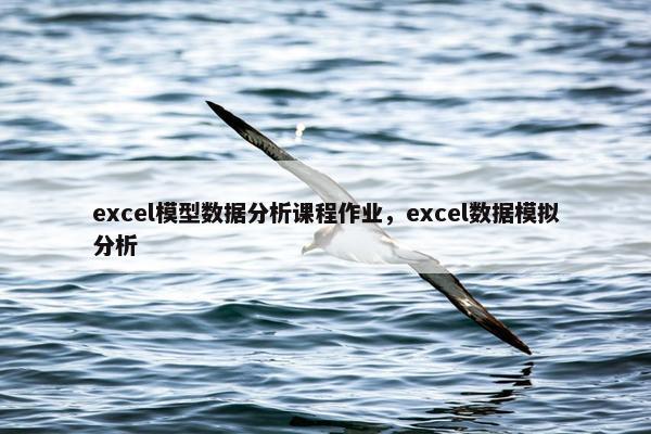 excel模型数据分析课程作业，excel数据模拟分析