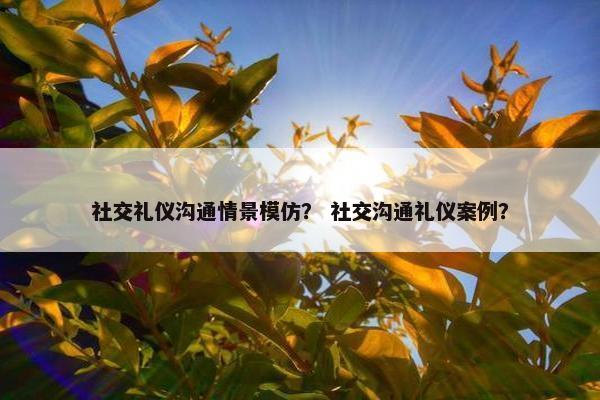 社交礼仪沟通情景模仿？ 社交沟通礼仪案例？