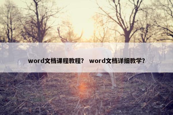 word文档课程教程？ word文档详细教学？