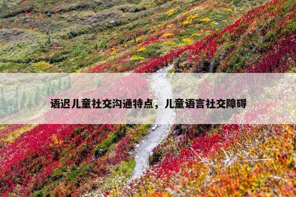 语迟儿童社交沟通特点，儿童语言社交障碍