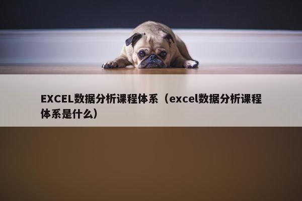EXCEL数据分析课程体系（excel数据分析课程体系是什么）
