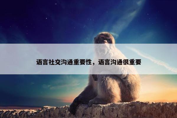 语言社交沟通重要性，语言沟通很重要