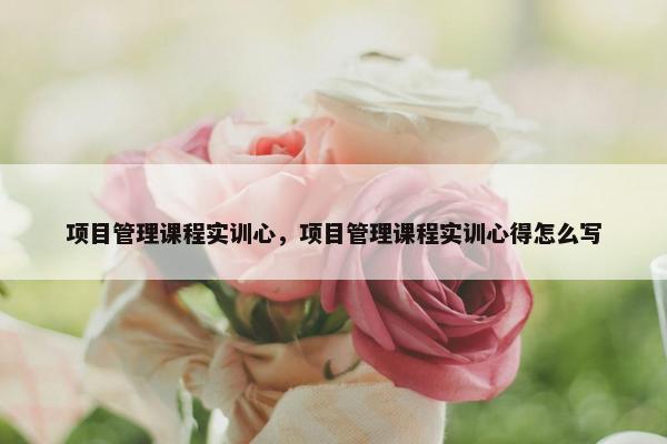 项目管理课程实训心，项目管理课程实训心得怎么写
