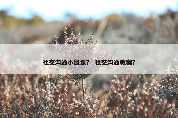 社交沟通小组课？ 社交沟通教案？