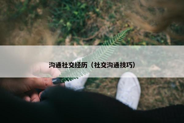 沟通社交经历（社交沟通技巧）