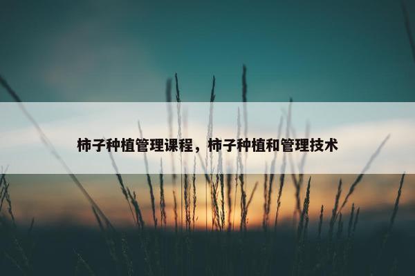 柿子种植管理课程，柿子种植和管理技术