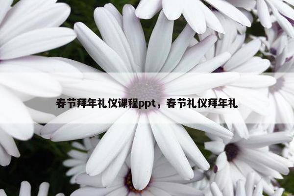 春节拜年礼仪课程ppt，春节礼仪拜年礼