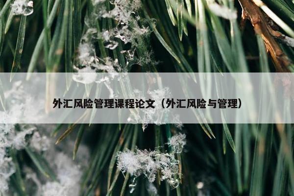 外汇风险管理课程论文（外汇风险与管理）