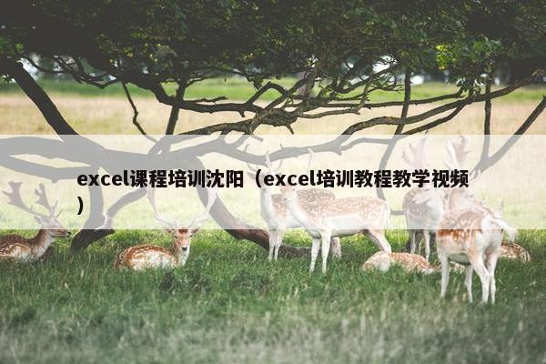 excel课程培训沈阳（excel培训教程教学视频）