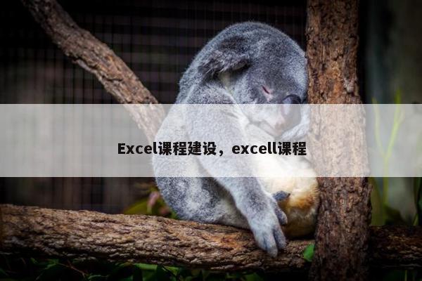 Excel课程建设，excell课程