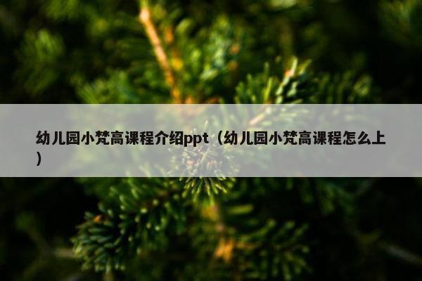 幼儿园小梵高课程介绍ppt（幼儿园小梵高课程怎么上）