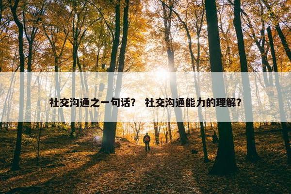 社交沟通之一句话？ 社交沟通能力的理解？