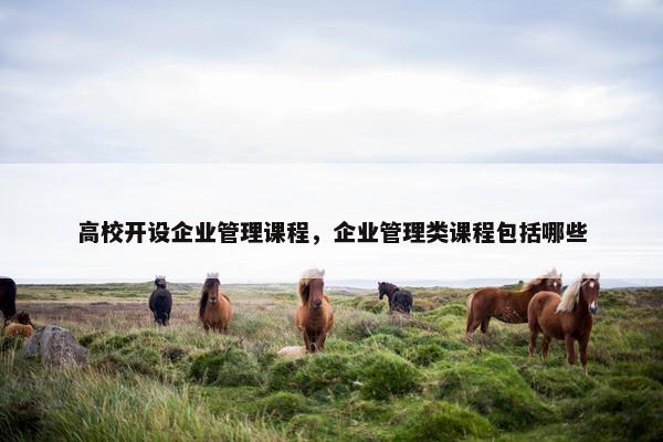 高校开设企业管理课程，企业管理类课程包括哪些