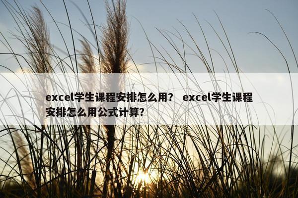 excel学生课程安排怎么用？ excel学生课程安排怎么用公式计算？