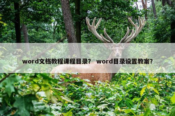word文档教程课程目录？ word目录设置教案？