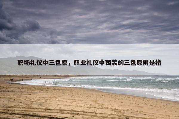 职场礼仪中三色原，职业礼仪中西装的三色原则是指
