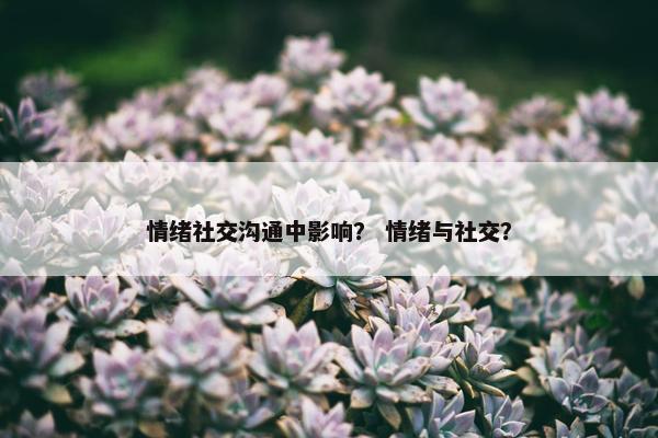情绪社交沟通中影响？ 情绪与社交？