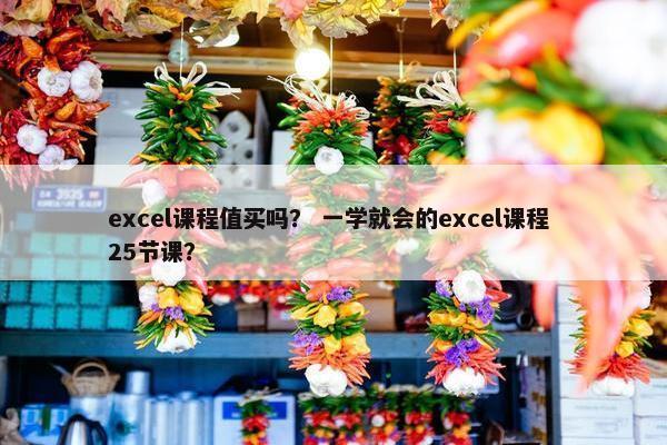 excel课程值买吗？ 一学就会的excel课程 25节课？