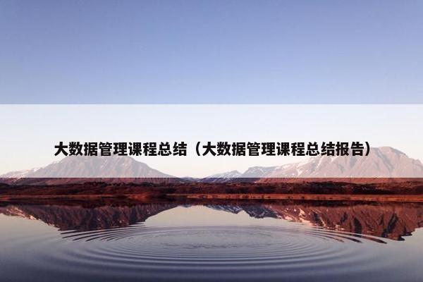 大数据管理课程总结（大数据管理课程总结报告）