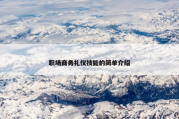 职场商务礼仪技能的简单介绍