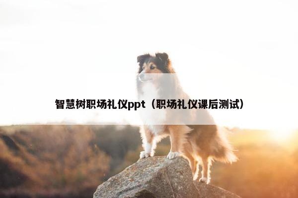 智慧树职场礼仪ppt（职场礼仪课后测试）