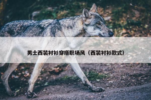 男士西装衬衫穿搭职场风（西装衬衫款式）