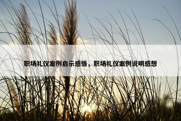 职场礼仪案例启示感悟，职场礼仪案例说明感想