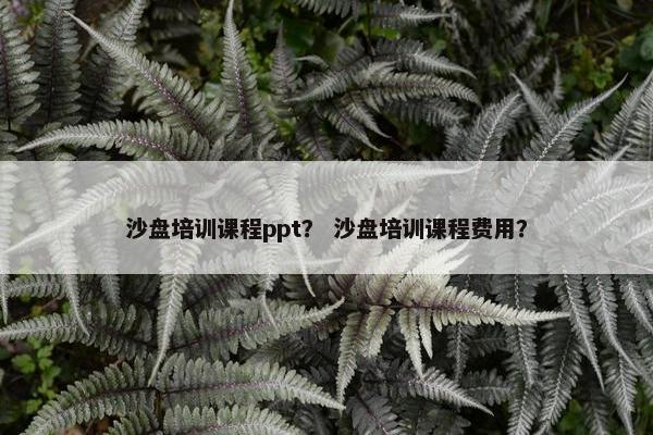 沙盘培训课程ppt？ 沙盘培训课程费用？