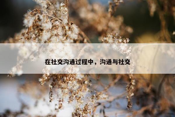 在社交沟通过程中，沟通与社交