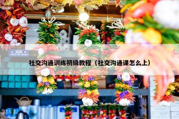 社交沟通训练初级教程（社交沟通课怎么上）