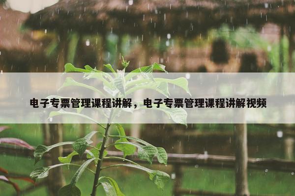 电子专票管理课程讲解，电子专票管理课程讲解视频