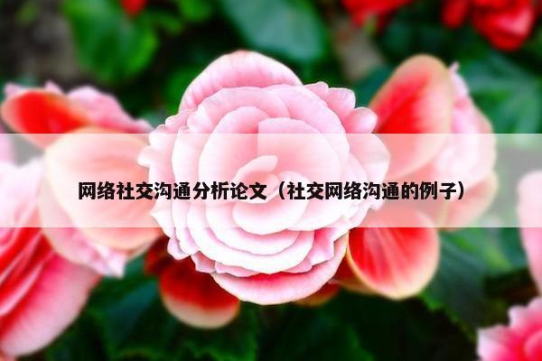 网络社交沟通分析论文（社交网络沟通的例子）