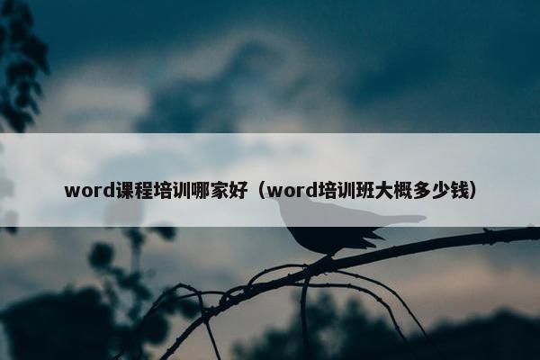 word课程培训哪家好（word培训班大概多少钱）