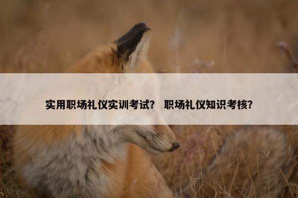 实用职场礼仪实训考试？ 职场礼仪知识考核？