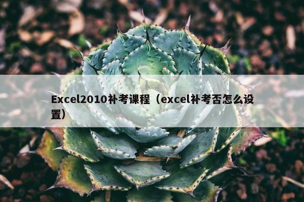 Excel2010补考课程（excel补考否怎么设置）