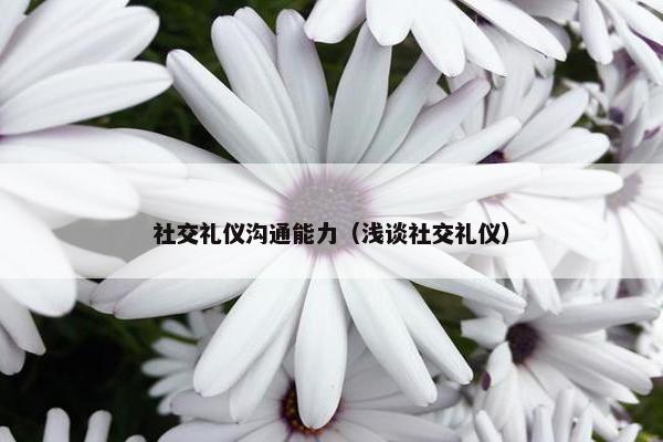 社交礼仪沟通能力（浅谈社交礼仪）