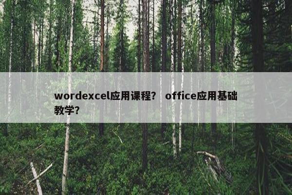 wordexcel应用课程？ office应用基础教学？