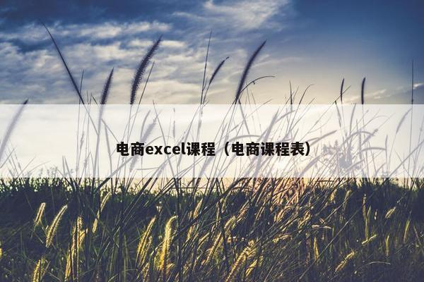 电商excel课程（电商课程表）