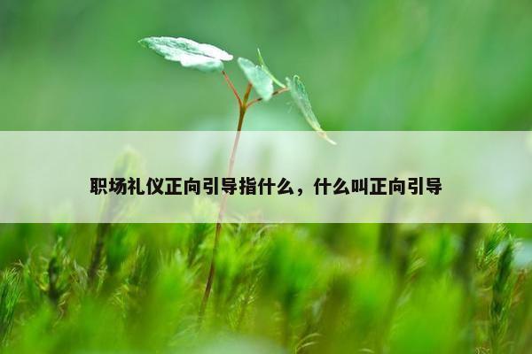 职场礼仪正向引导指什么，什么叫正向引导