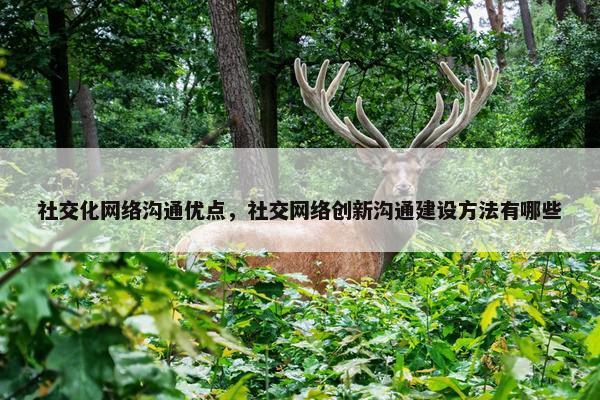 社交化网络沟通优点，社交网络创新沟通建设方法有哪些