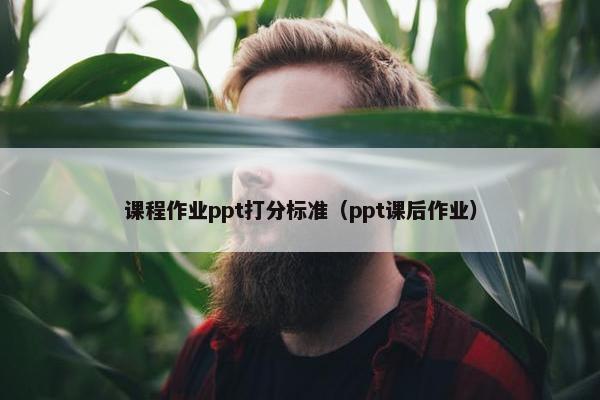 课程作业ppt打分标准（ppt课后作业）