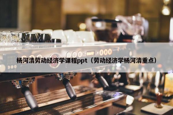 杨河清劳动经济学课程ppt（劳动经济学杨河清重点）
