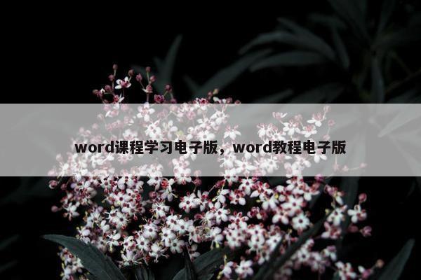 word课程学习电子版，word教程电子版
