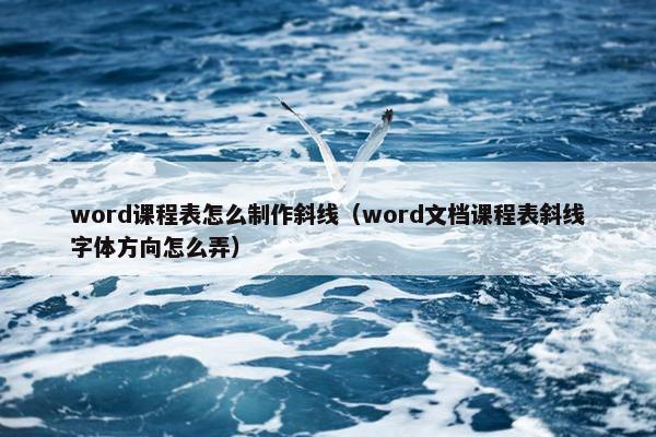 word课程表怎么制作斜线（word文档课程表斜线字体方向怎么弄）