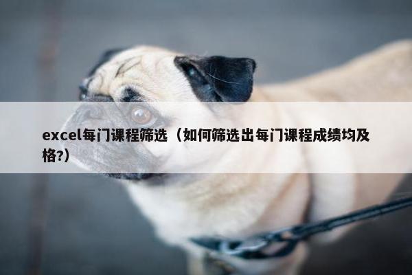 excel每门课程筛选（如何筛选出每门课程成绩均及格?）