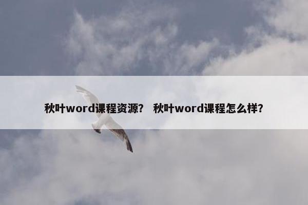 秋叶word课程资源？ 秋叶word课程怎么样？